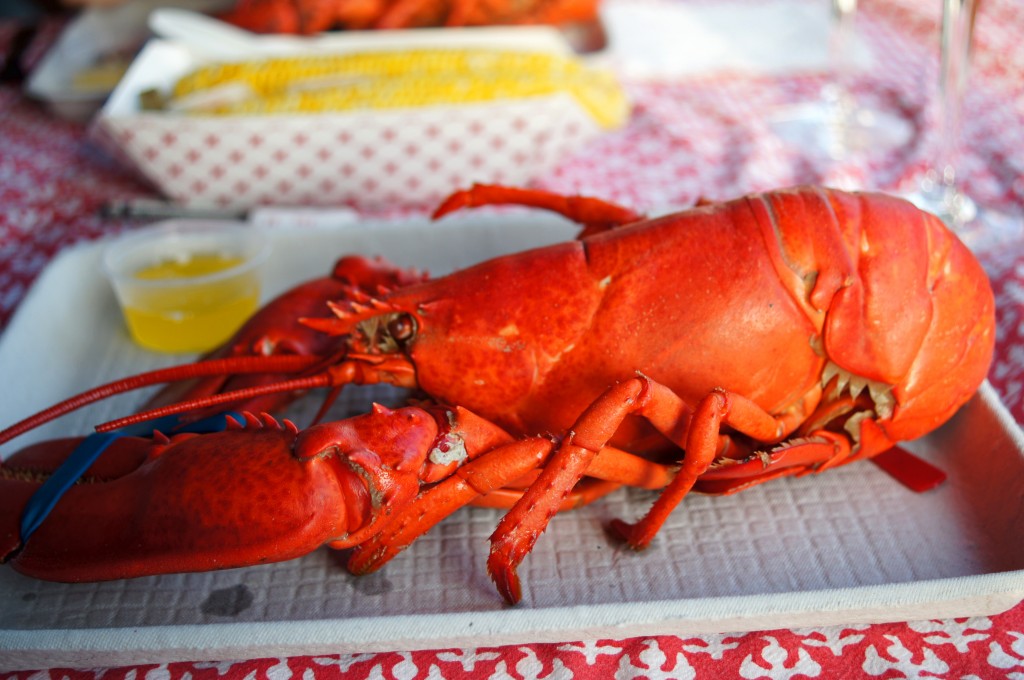 Boiled Lobster with Melted Butter at Chauncey Creek Lobster Pier