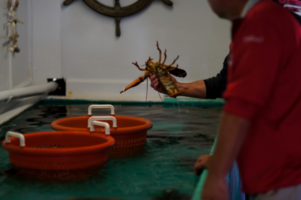 Man Holding Lobster from the Live Lobster Tanks at Chauncey Creek