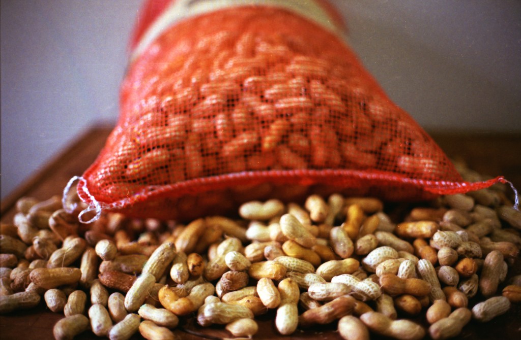 Green Peanuts used to Make Boiled Peanuts