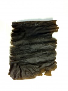 Dried Kelp (kombu)