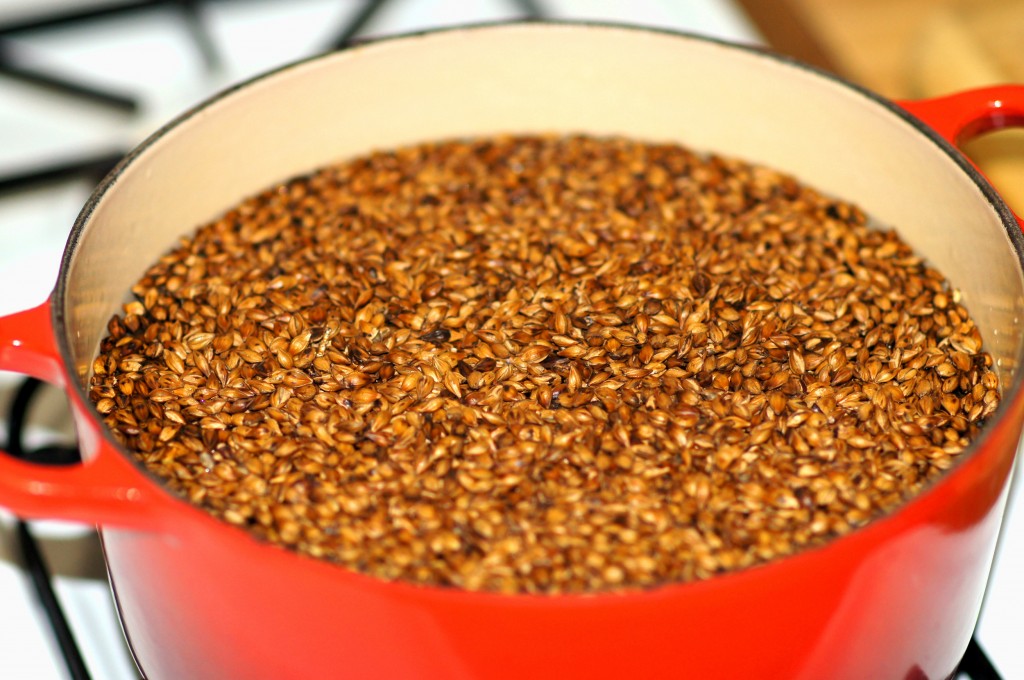 Making Roasted Barley Tea