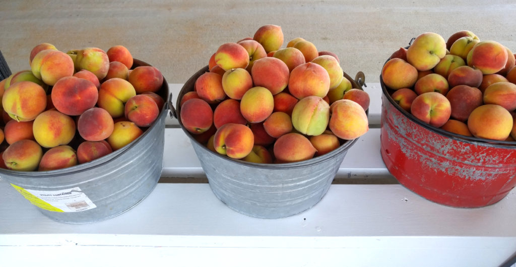 Buckets of U-Pick Peaches at Gregg Farms