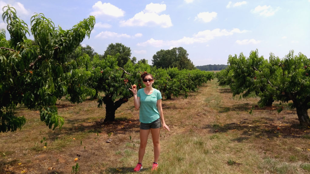 Sadie Standing in a Peach Field at Gregg Farms