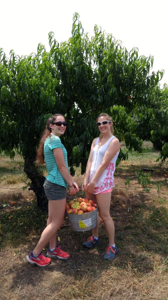 Sadie and Me Picking Peaches at Gregg Farms in Concord, Georgia