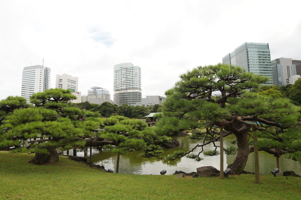 Hama-Rikyu Gardens - Where the Past and Present Collide 