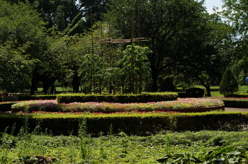 Circle of Flowers outside the Greenhouse