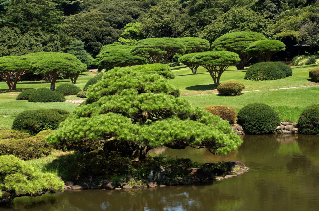 Shinjuku Gyoen Japanese Garden