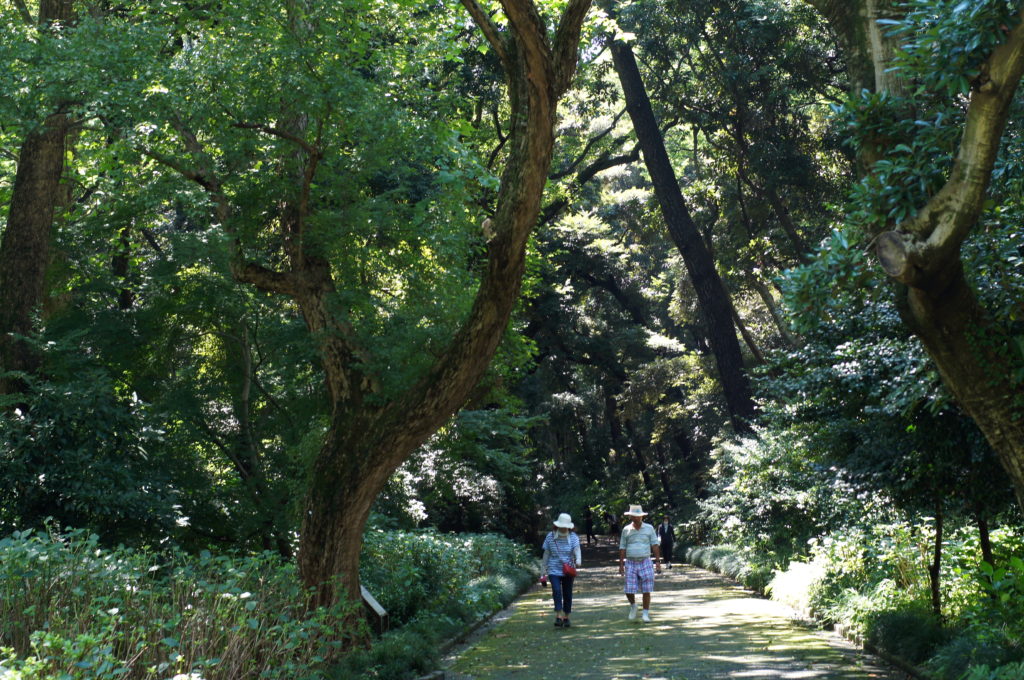 Shinjuku Gyoen National Garden