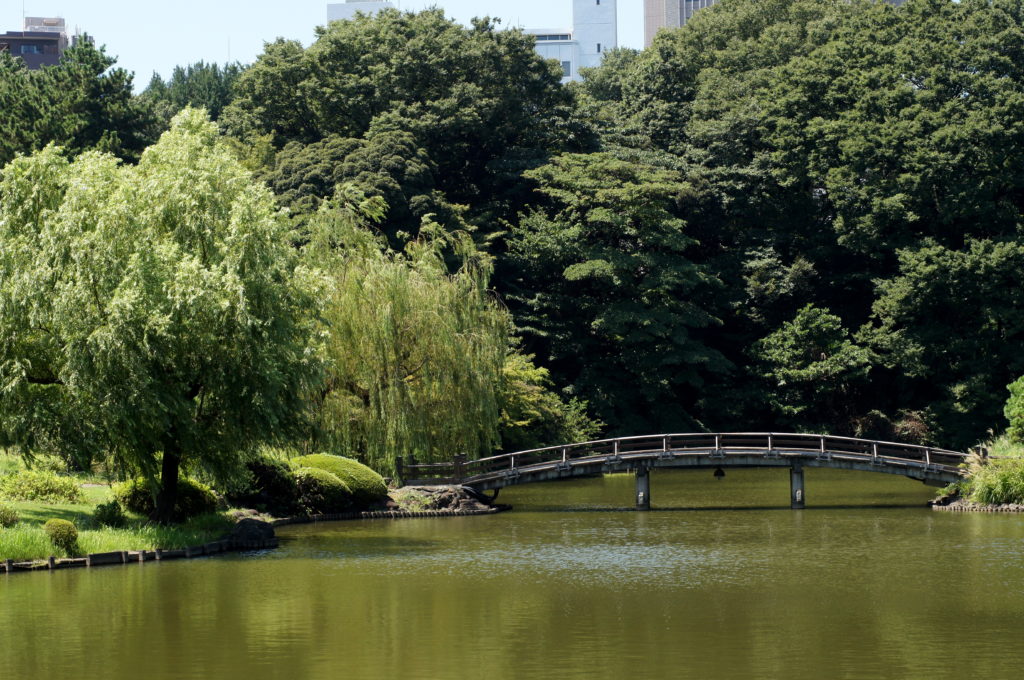 Willow Tree and Arch Bridge in Shinjuku Gyoen National Garden