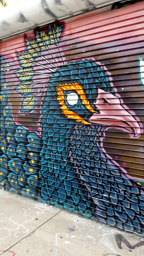 Peacock Mural on Wynwood Garage