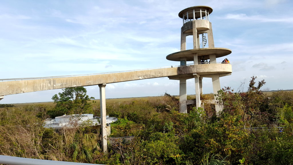 Shark Valley Observation Tower 