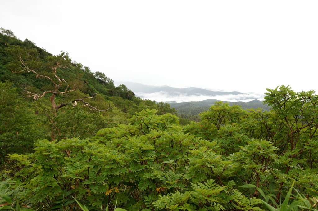 View Above the Clouds Hiking to Sugatami Station 