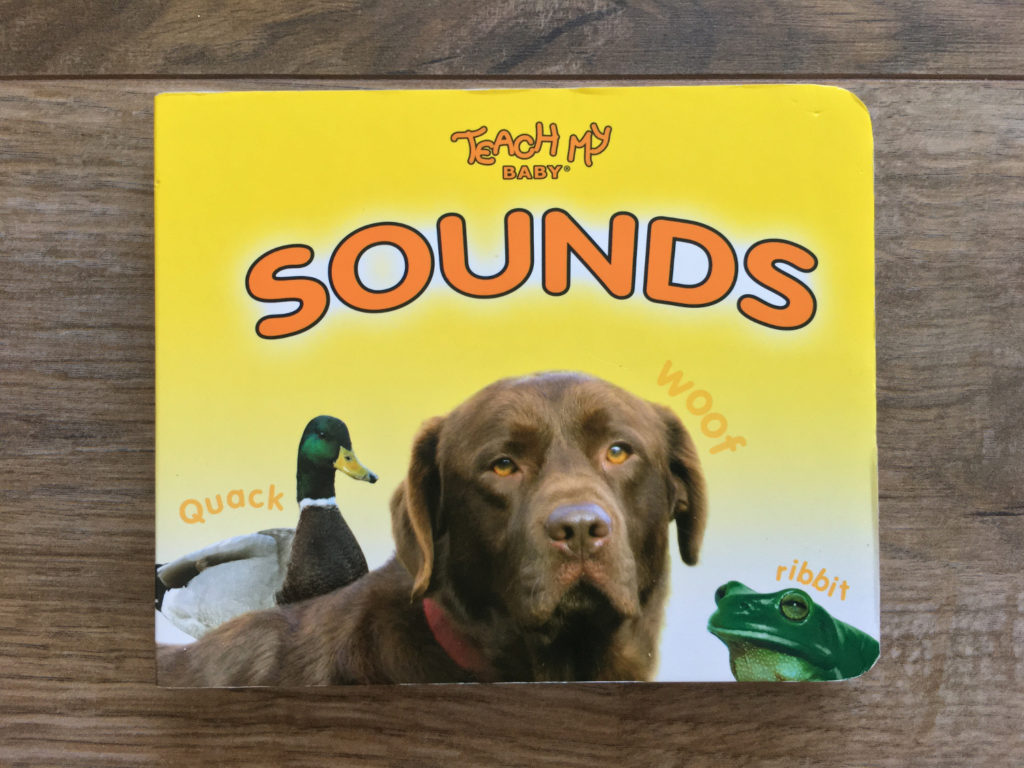 Teach My Baby Sounds Book