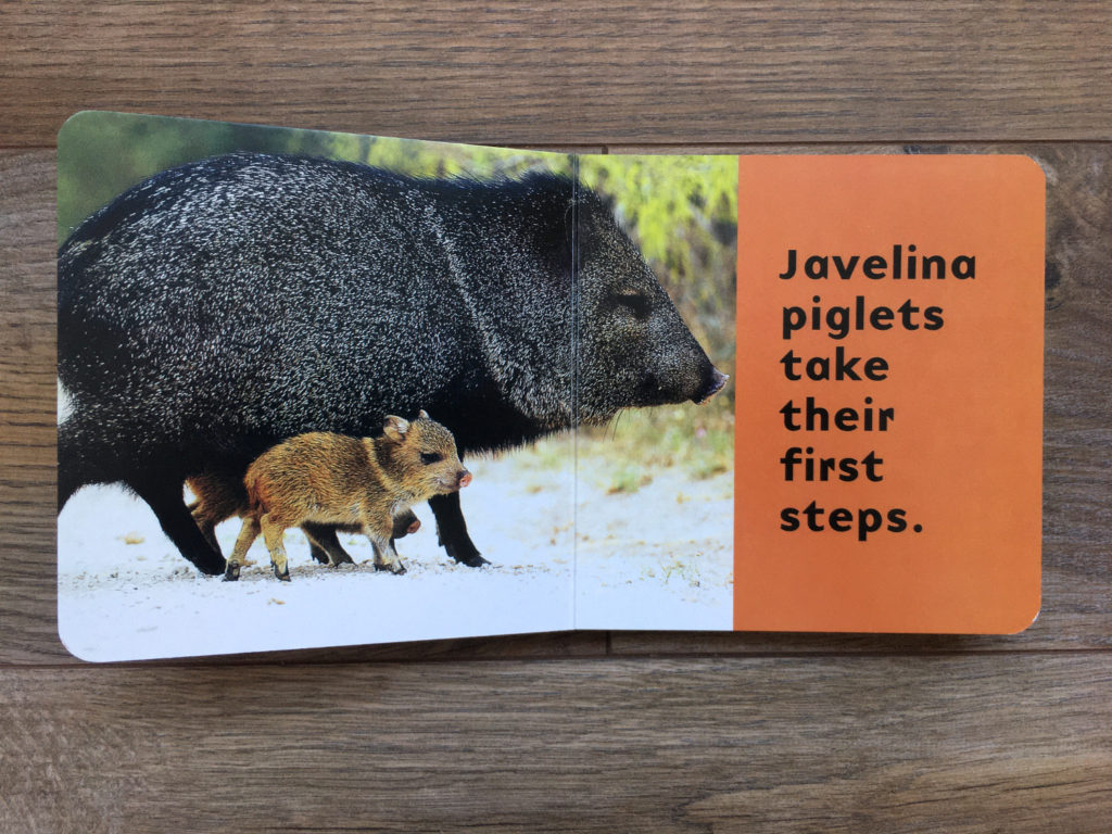 Best Baby Books Featuring Animals