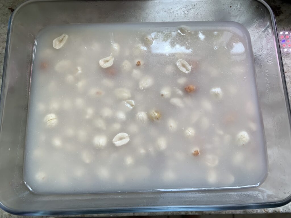 Raw Peanuts Soaked in Water for 24 Hours