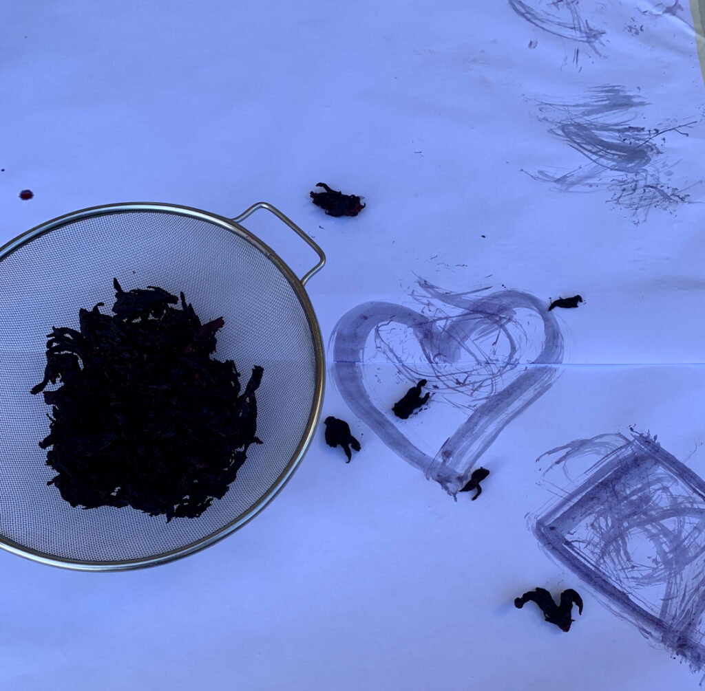 Painting with Steeped Hibiscus Flowers